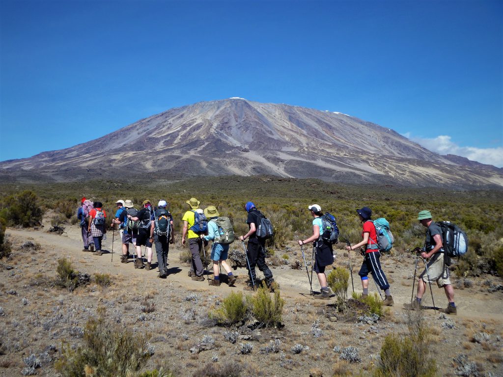 Kilimanjaro-line-of-trekkers-1024x768