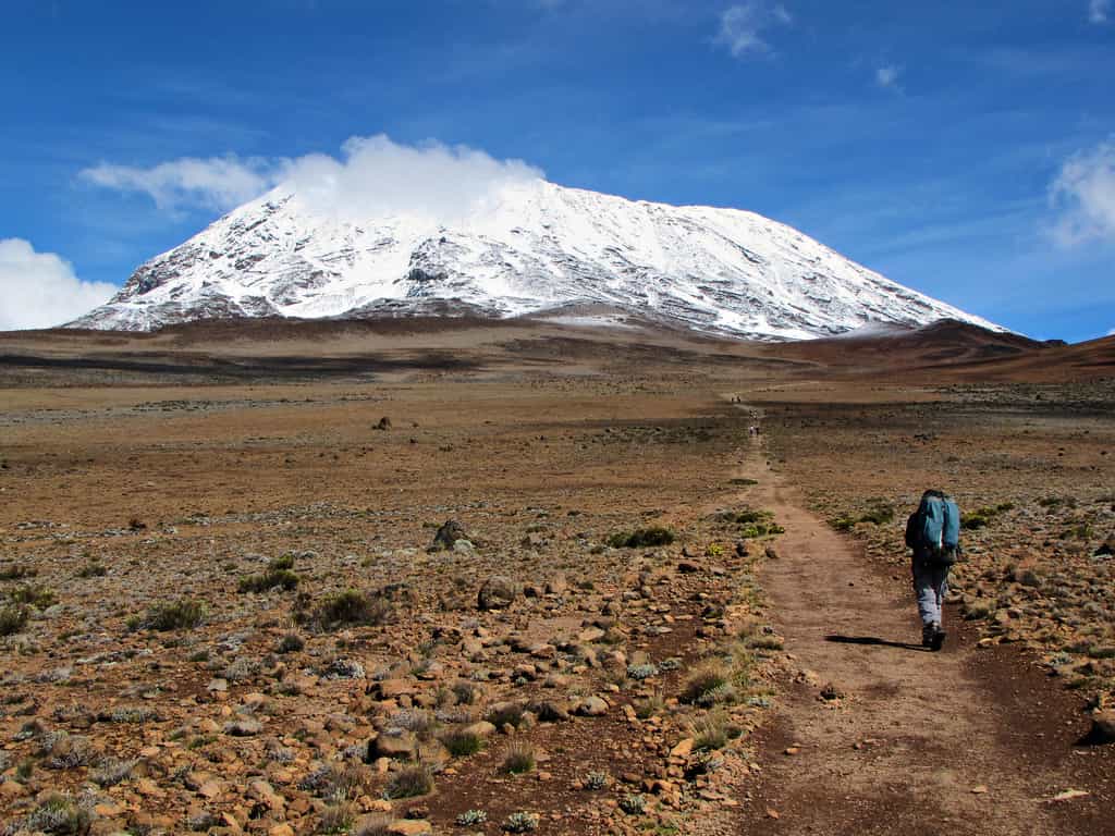 Mount_Kilimanjaro_3