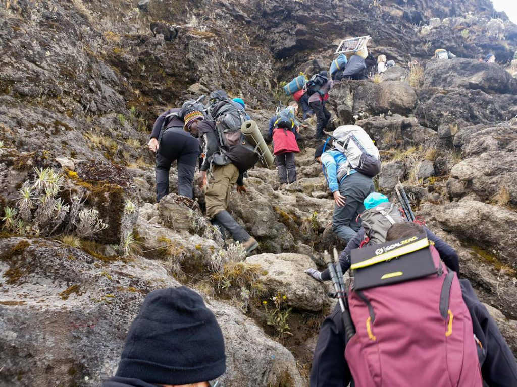 Trekkers-climbing-the-Barranco-Wall-on-Kilimanjaro-1024x768