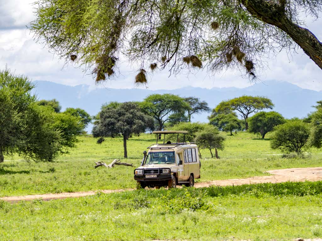 jeep-in-tarangeri-national-park-tanzania-africa-laugh-travel-eat