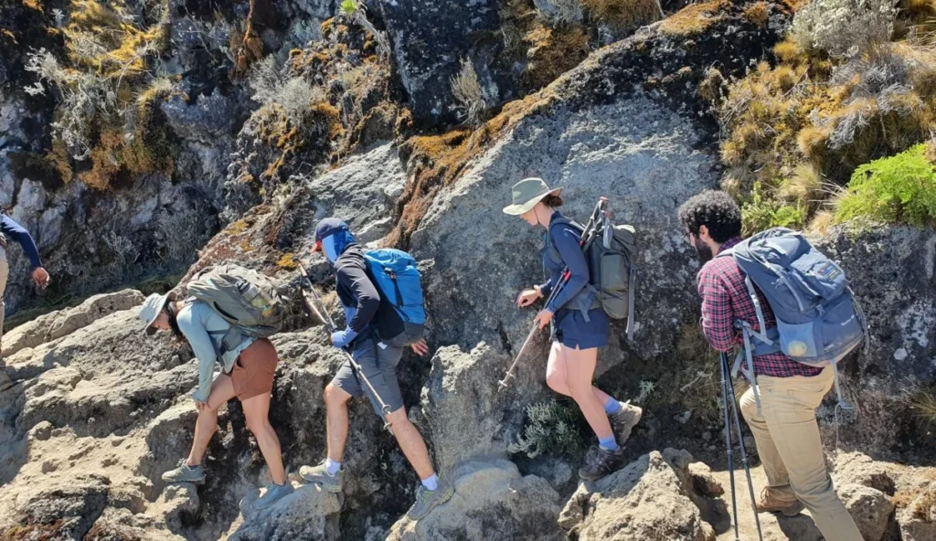 6 Days Marangu Route Kilimanjaro: