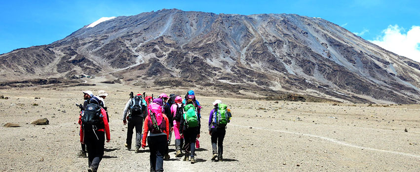 6 Days Rongai Route Kilimanjaro