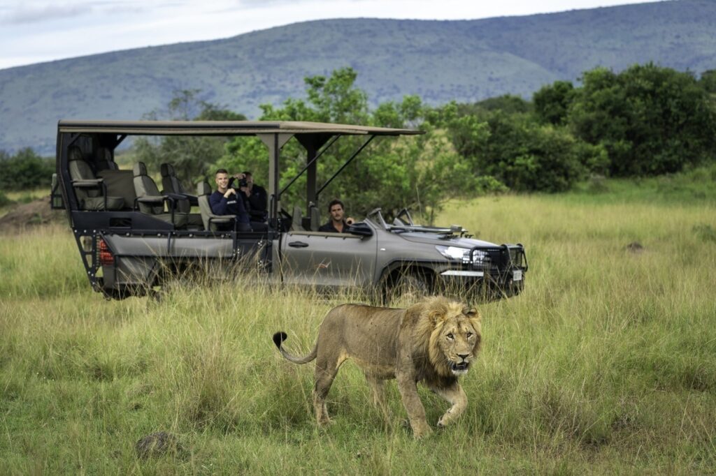 8-Day Tanzania Luxury Northern Circuit Safari