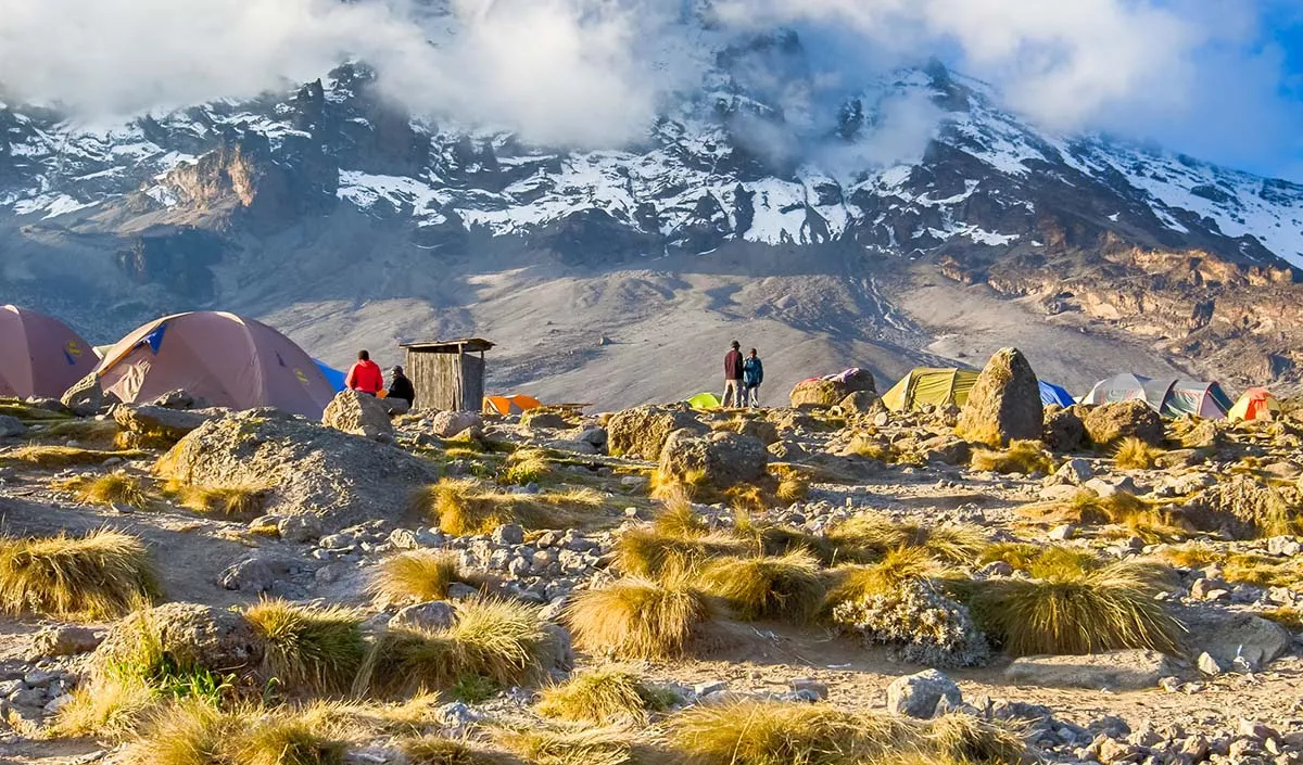 6 Days Rongai Route Kilimanjaro