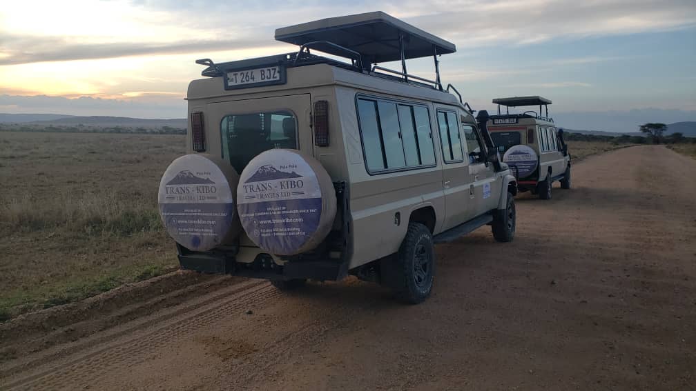 Tanzania Safari Best Price Guarantee