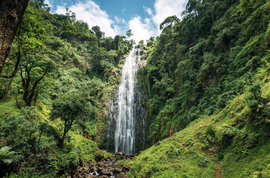 Materuni waterfalls and coffee Farm tour
