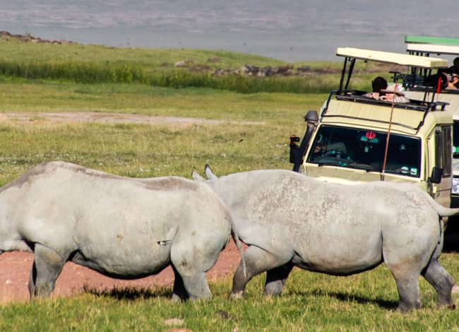 2-days-tanzania-lodge-safari-ngorongoro-crater-tarangire-package-1