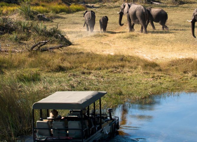 5-days-african-thunder-banner