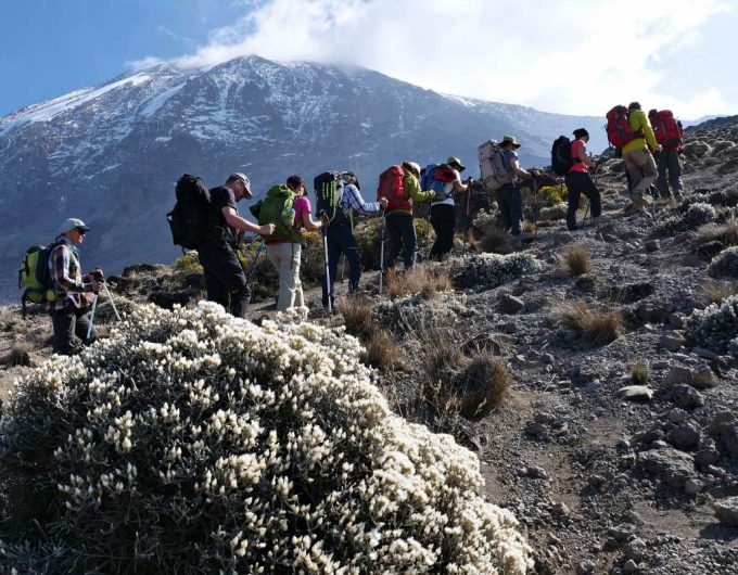 7-Days-Umbwe-Route