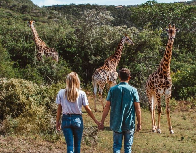 HONEYMOON1