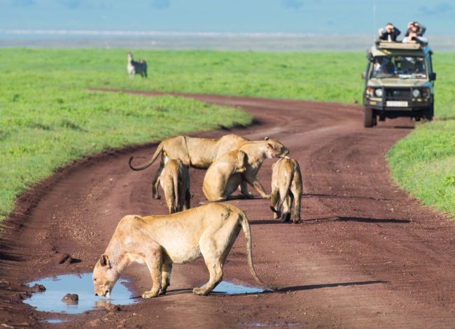 15 Day Kilimanjaro Tanzania & Zanzibar Tours